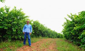 Herança agrícola