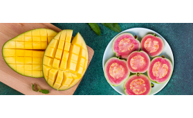Novidades fábrica Coagrosol
