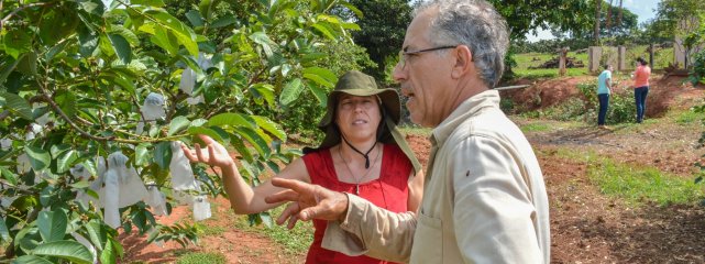 Coagrosol recebe visita Oxfam