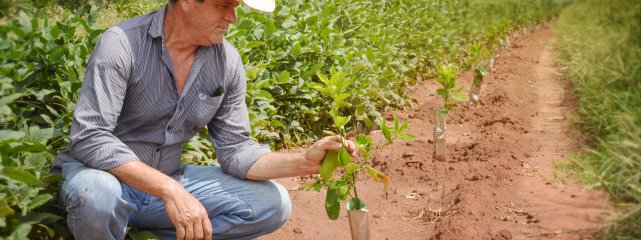 Cooperativa é segurança para o produtor