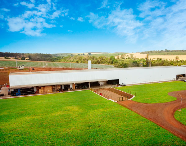 Coagrosol História